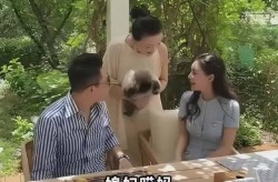 吃瓜网91爆料汪小菲婚礼倒计时陷桃色风暴：前夫四连锤曝马筱梅出轨实锤 张颖颖在线吃瓜