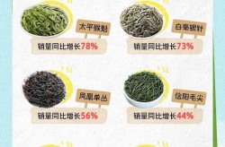 老边区表洋追债状师-2025年个体所得税缴纳准则和策画伎俩及详解：2025款“公多速腾”手动飞越版指示价779万！