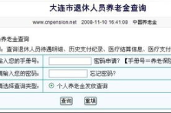 个人养老金缴费查询,个人养老金缴费查询攻略与渠道汇总”