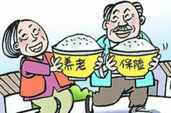 养老保险交多少,养老保险缴费年限与养老金领取额度解析