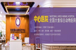 宠物医院 加盟,品牌选择、投资预算与成功秘诀解析