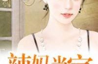 小说辣妈的娱乐生活,辣妈辣舞，娱乐人生